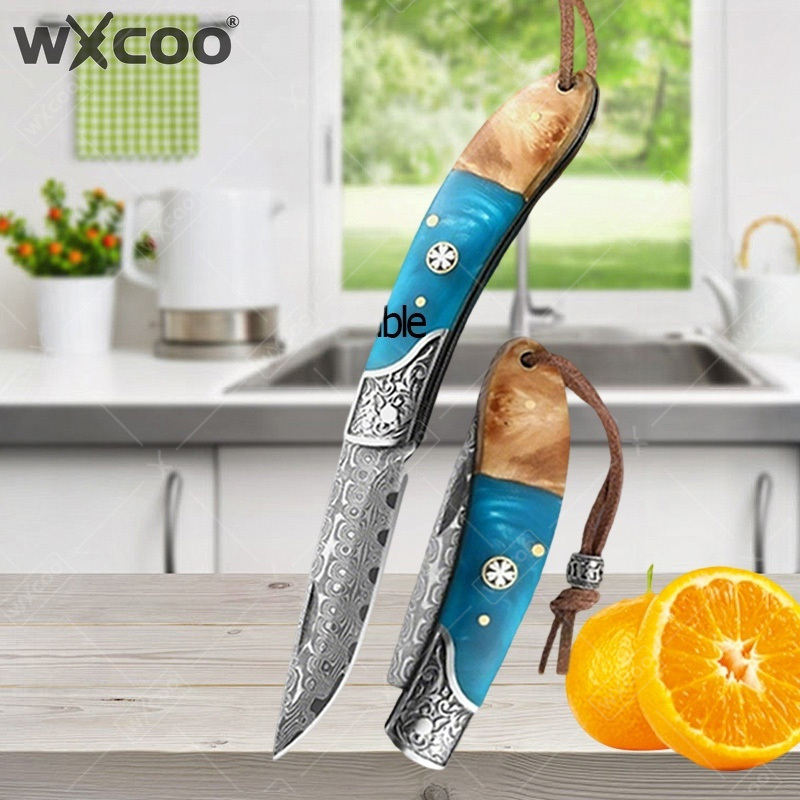 WXCOO Damascus Steel Folding P - Kitchen Appliances Gift avis et prix