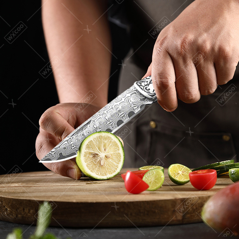 WXCOO Damascus Steel Folding P - Kitchen Appliances Gift avis et prix