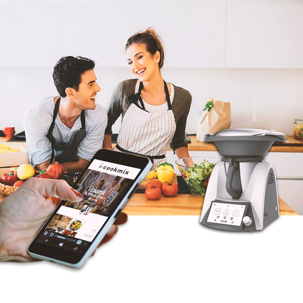 Factory Manufacturing New Desi - Food Processor Large avis et prix