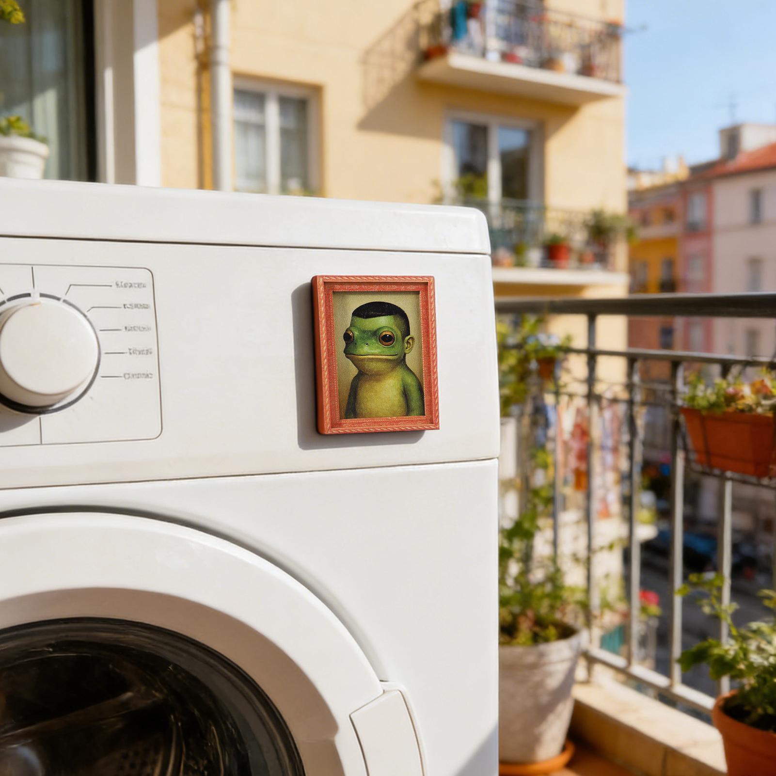 Funny Fridge Magnets Frog Phot - Kitchen Appliances Photos avis et prix