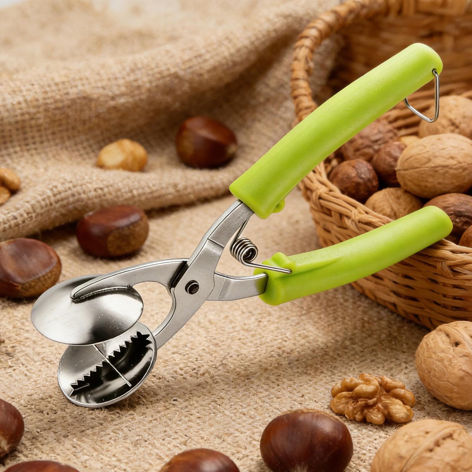 Stainless Chestnut Machine Kit - Kitchen Appliances Gift avis et prix