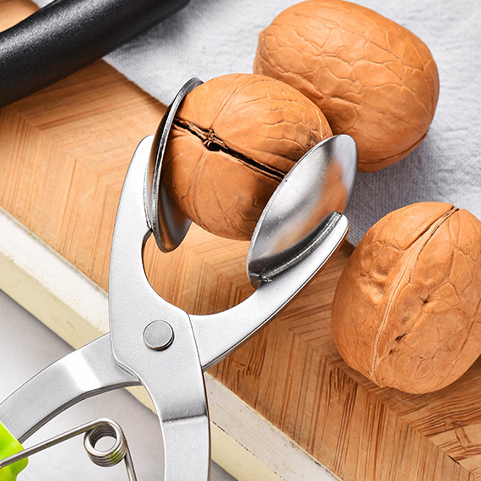 Stainless Chestnut Machine Kit - Kitchen Appliances Gift avis et prix