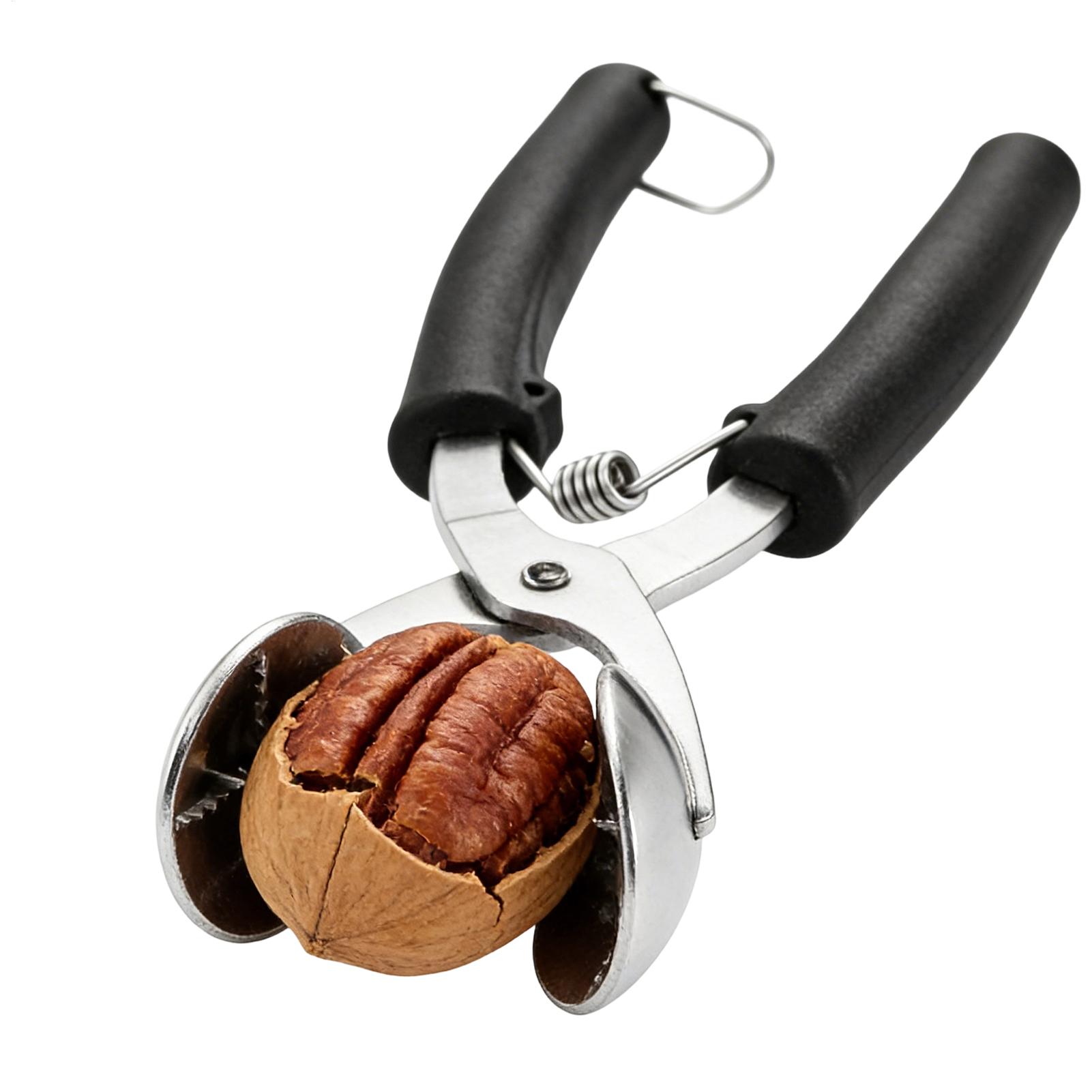 Stainless Chestnut Machine Kit - Kitchen Appliances Gift avis et prix